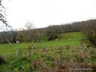 A vendre dans la Creuse, belle grange et 1000m² de terrain — photo 4