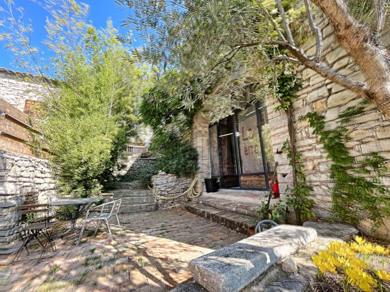 MAISON VILLAGE 5 PIECES 728M2 DEPENDANCES CORCONNE SAINT MATHIEU — photo 1
