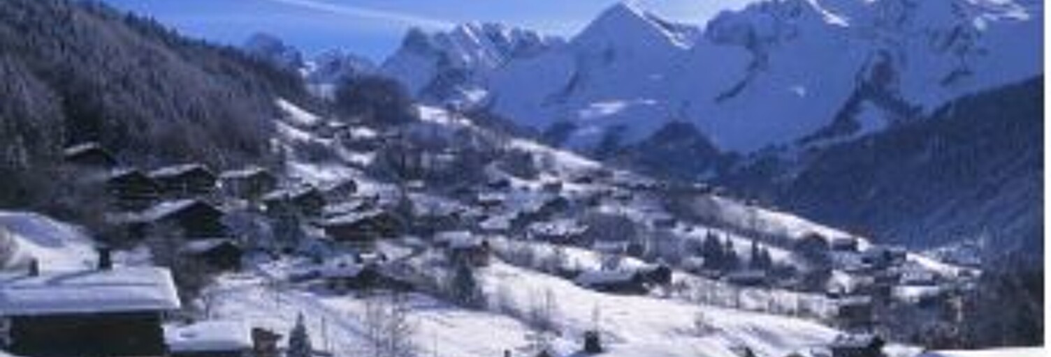 Appartement 1 Pièce 29 m² à vendre à Thônes (74230)