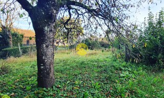 Photo N° 4