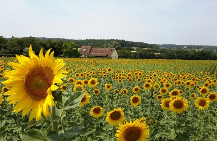 Maison individuelle à vendre près du Morvan, Région Bourgogne — photo 4