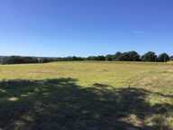 A vendre Propriété équestre près de Payroux dans la Vienne — photo 3