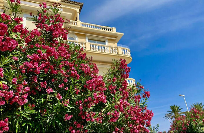 CANNES PALM BEACH  - EXCEPTIONNELLE VUE MER  - T2 60 M2 — photo 4