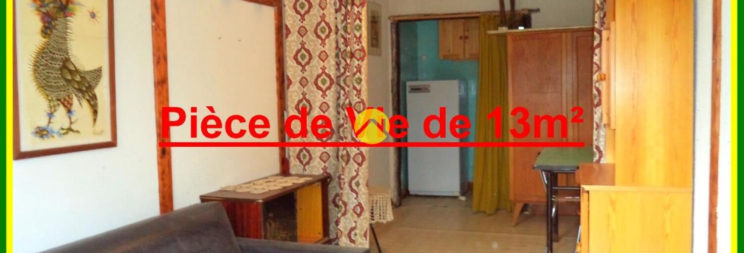 Maison 1 Pièce 15 m² à vendre à Neuvy-sur-Barangeon (18330)