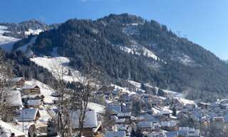 Terrain  1459 m² à vendre à Châtel (74390)