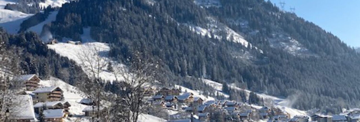 Terrain  1459 m² à vendre à Châtel (74390)