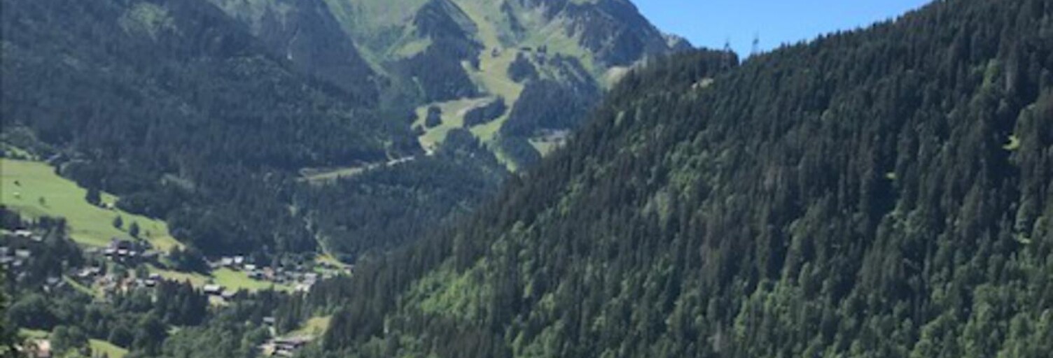 Maison 5 Pièces 120 m² à vendre à Châtel (74390)