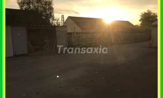 Photo N° 3