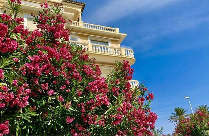 Appartement à acheter terrasse à Cannes avec DG PRESTIGE — photo 5