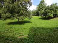 Maison avec 3710m² de terrain constructible — photo 2