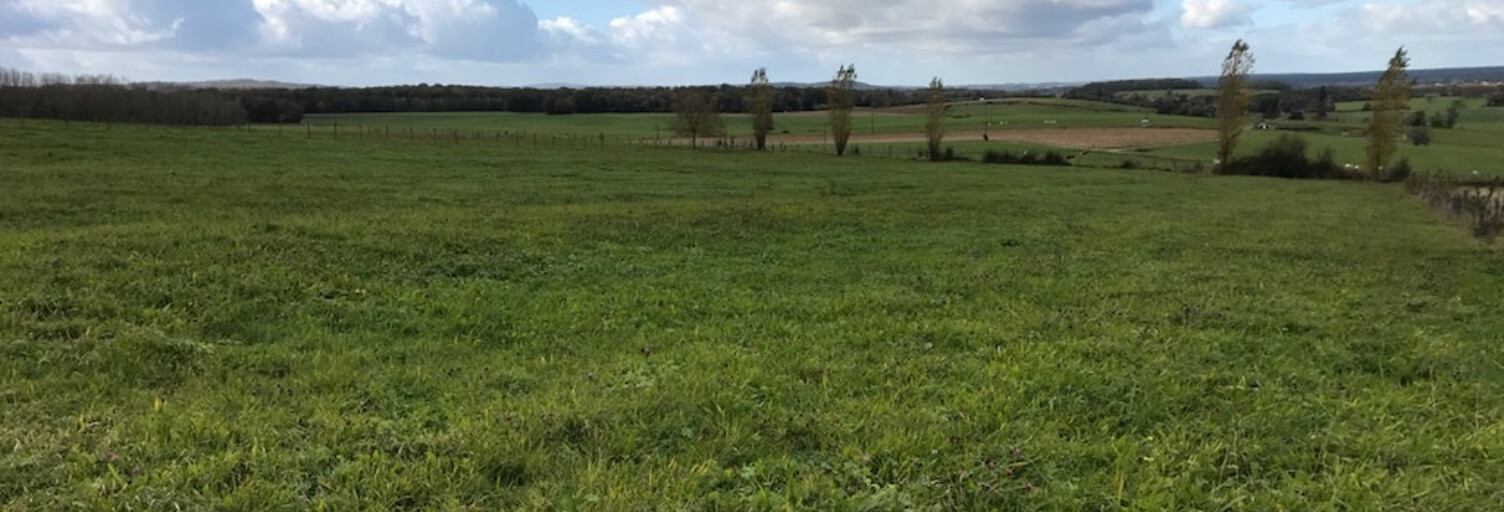 Terrain  10000 m² à vendre à Genevrey (70240)