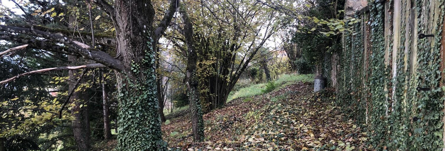 Terrain  1223 m² à vendre à Thizy-les-Bourgs (69240)