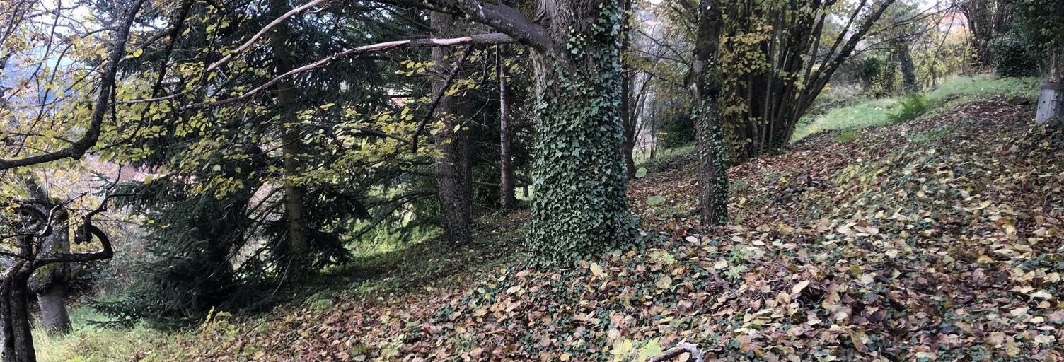 Terrain  1223 m² à vendre à Thizy-les-Bourgs (69240)