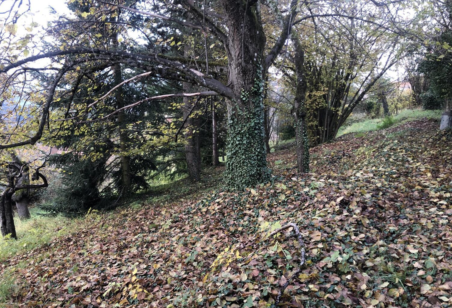 Vente terrain  1223 m² Thizy-les-Bourgs (69240) — photo 1