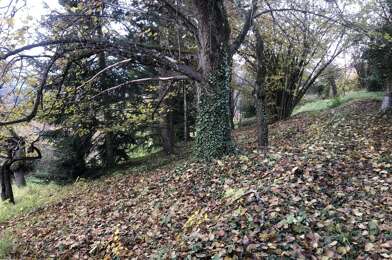 Terrain  25000 €