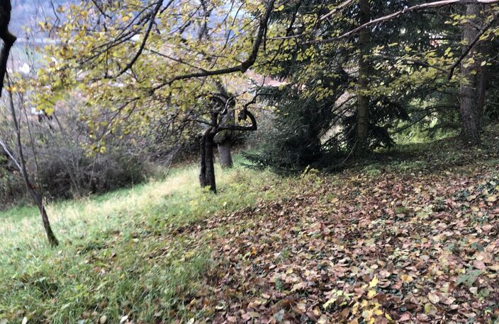 Vente terrain  1223 m² Thizy-les-Bourgs (69240) — photo 2
