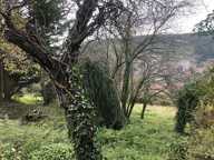 Terrain à construire  1223 m²  — photo 3