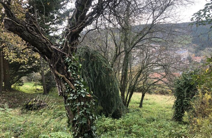 Vente terrain  1223 m² Thizy-les-Bourgs (69240) — photo 3