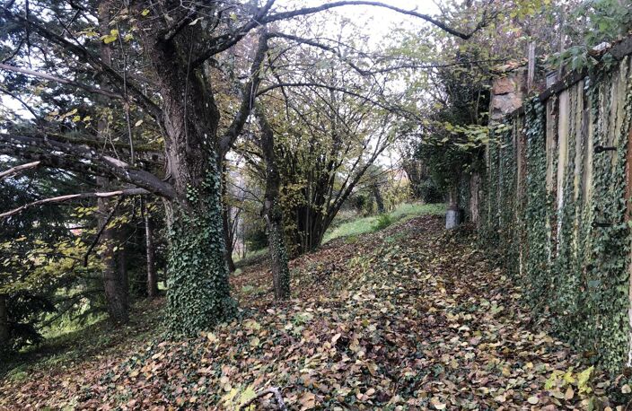 Vente terrain  1223 m² Thizy-les-Bourgs (69240) — photo 4