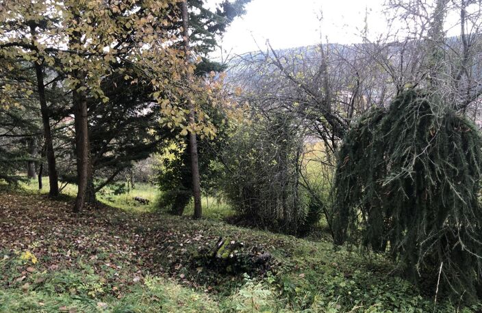 Vente terrain  1223 m² Thizy-les-Bourgs (69240) — photo 5