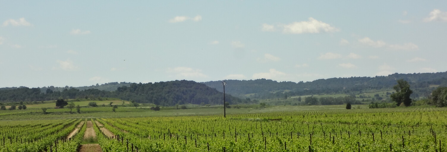 Maison  400000 m² à vendre à Limoux (11300)