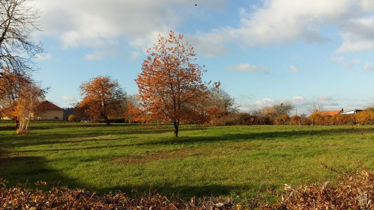 terrain  pièces 1200 m2 à vendre à Perrecy-les-Forges (71420)