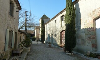 Photo N° 3