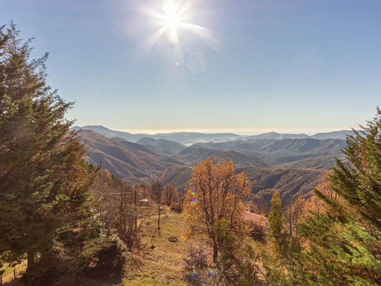 A VENDRE BEAU 4P DANS L’ARRIÈRE PAYS AVEC TERRAIN — photo 1