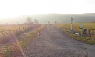 Photo N° 8