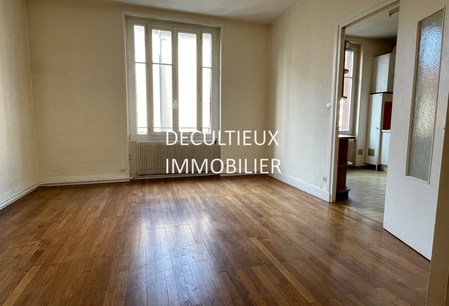 FORT POTENTIEL - A RAFRAICHIR - VILLEURBANNE (Wilson) — photo 1