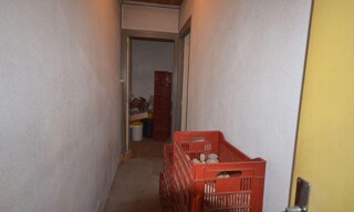 Photo N° 5