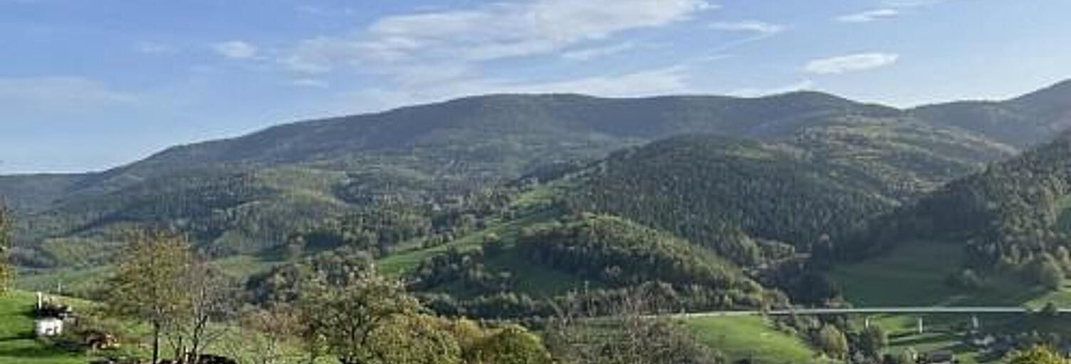 Maison 5 Pièces 110 m² à vendre à Sainte-Croix-aux-Mines (68160)