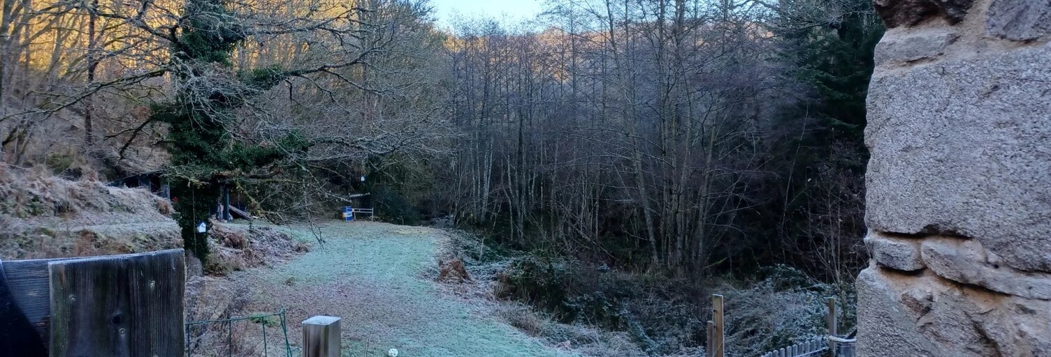 Photo du bien
