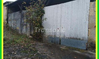 Photo N° 4