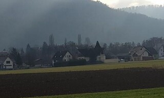 Photo N° 15