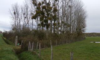 Photo N° 3