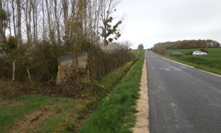 Photo N° 6