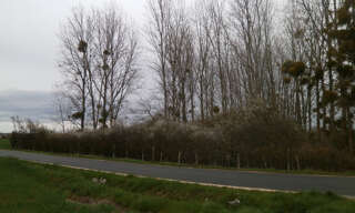 Divers  2370 m² à louer à Saint-Georges-sur-la-Prée (18100)