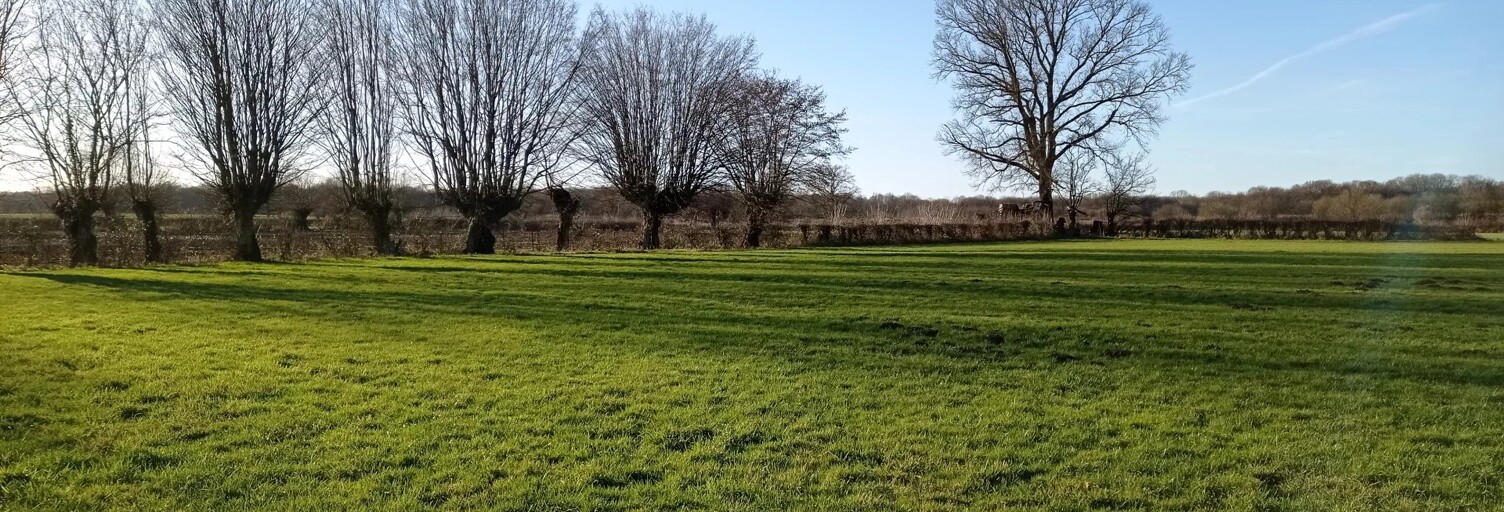 Terrain  22195 m² à vendre à Ors (59360)