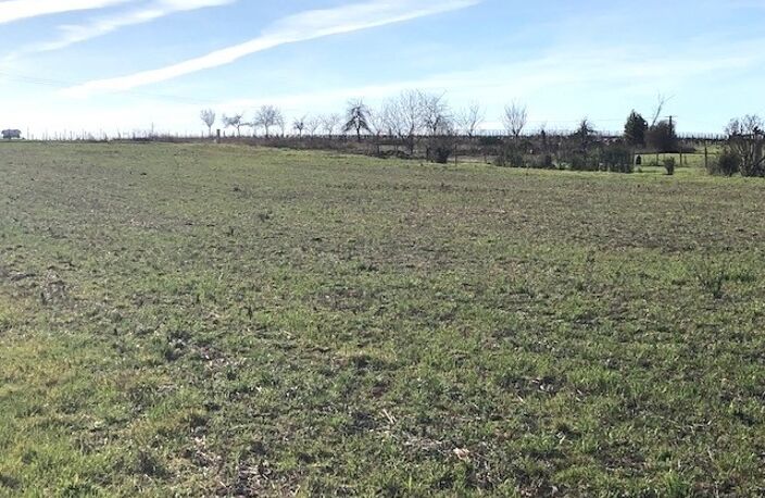 Vente terrain  1045 m² Louzac-Saint-André (16100) — photo 4
