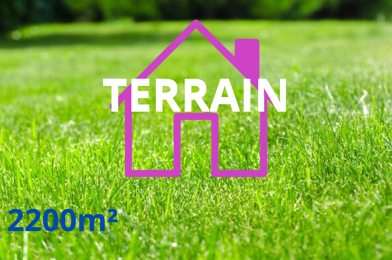 Terrain  45000 €