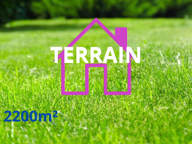 Superbe terrain constructible à Avesnes le Comte — photo du bien
