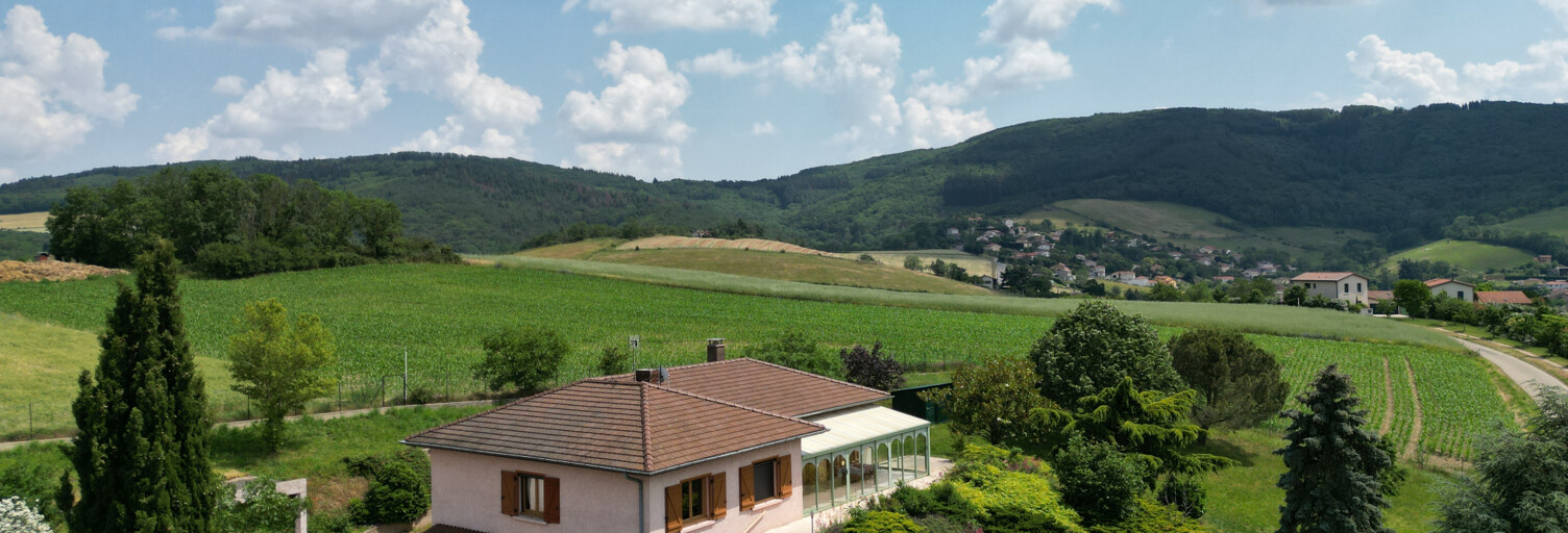 Maison 8 Pièces 205 m² à vendre à Saint-Pierre-la-Palud (69210)