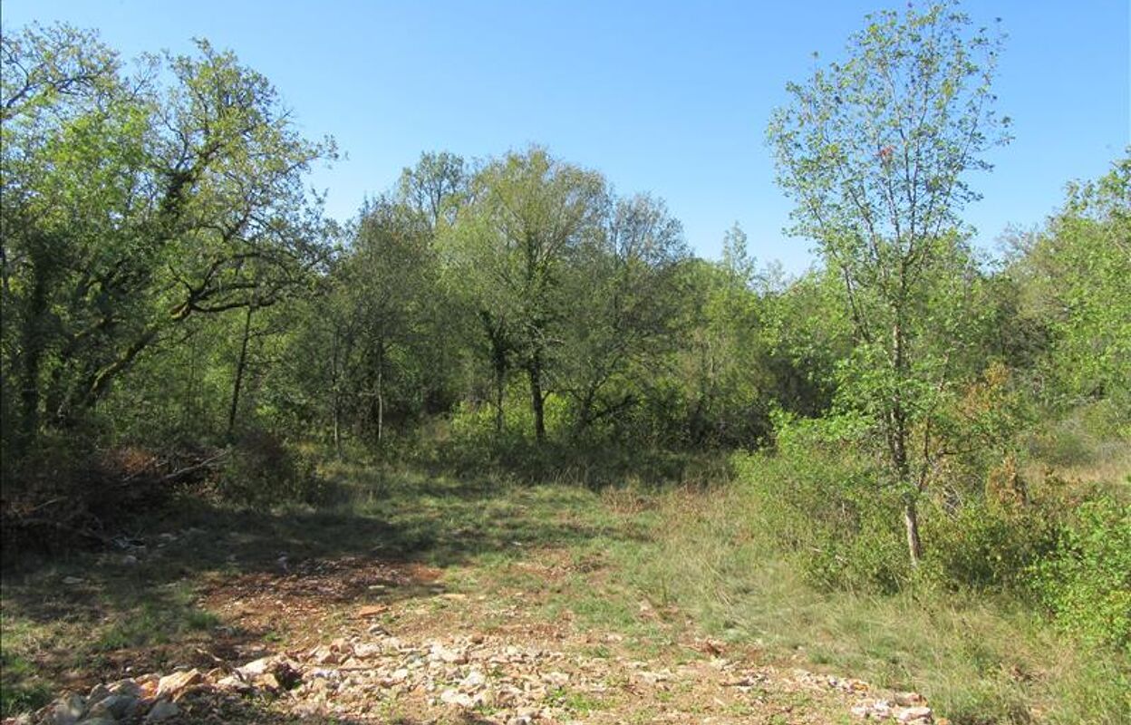 terrain  pièces 2151 m2 à vendre à Limogne-en-Quercy (46260)