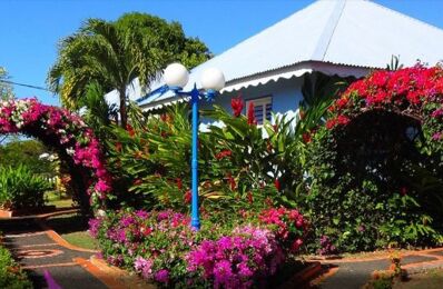 location de vacances appartement 430 € / semaine à proximité de Guadeloupe (971)