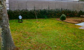 Photo N° 4