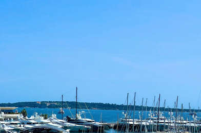 Commerce  250000 €