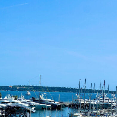 Commerce  250000 €