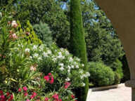 MAGNIFIQUE VILLA A SAINT JEAN DE L'ESTEREL — photo 2