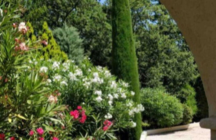 MAGNIFIQUE VILLA A SAINT JEAN DE L'ESTEREL — photo 2